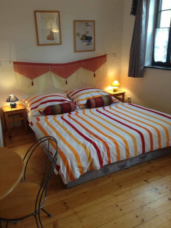Penzion Dum U Barvire Český Krumlov Extérieur photo